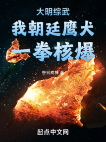 大明综武:我朝廷鹰犬,一拳核爆小说