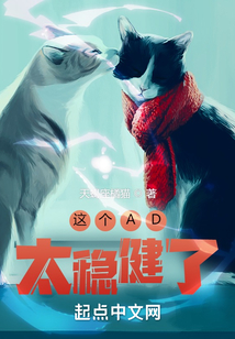 这个ad太稳健了笔趣阁