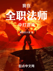 我在全职法师中打游戏是什么