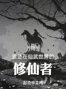 浪迹在仙武世界的修仙者黄