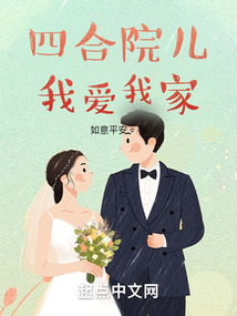 四合院儿我爱我家小说