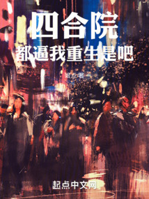 重生四合院我是何晓
