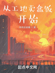 从工地卖盒饭开始TXT
