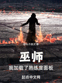 巫师我加载了熟练度面板