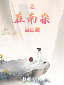 逆道南宋小说