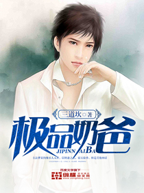 极品奶爸唐锋小说