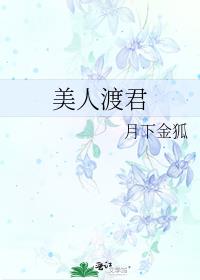 美人渡君 月下金狐TXT