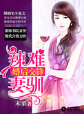婚后交锋之辣妻难驯 末栗
