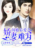 闪婚爱妻免费阅读全文
