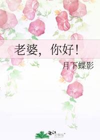 隐婚老公老婆你好