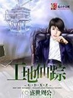 工地仙踪小说