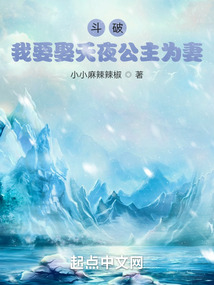 斗破:我要娶夭夜公主为妻 小小麻辣辣椒 著