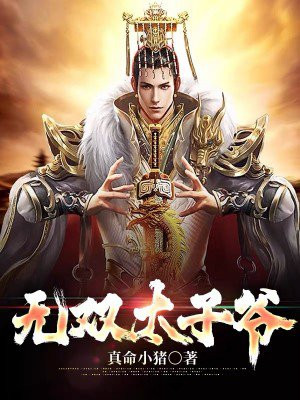 无双太子爷 小说