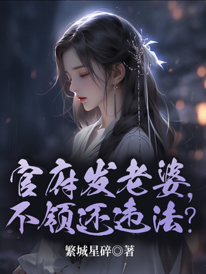 官府发老婆,一发发四个 繁城星碎 小说