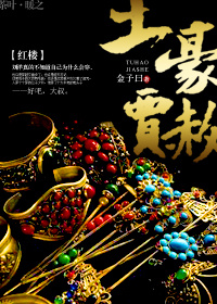 红楼之贾赦种田小说