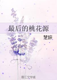 最后的桃花源小说讷敏斋主