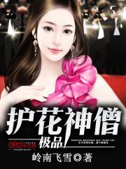 极品护花高手百科