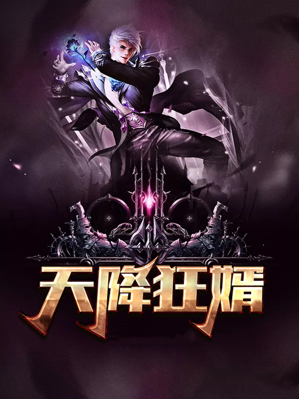 天降狂婿 小说