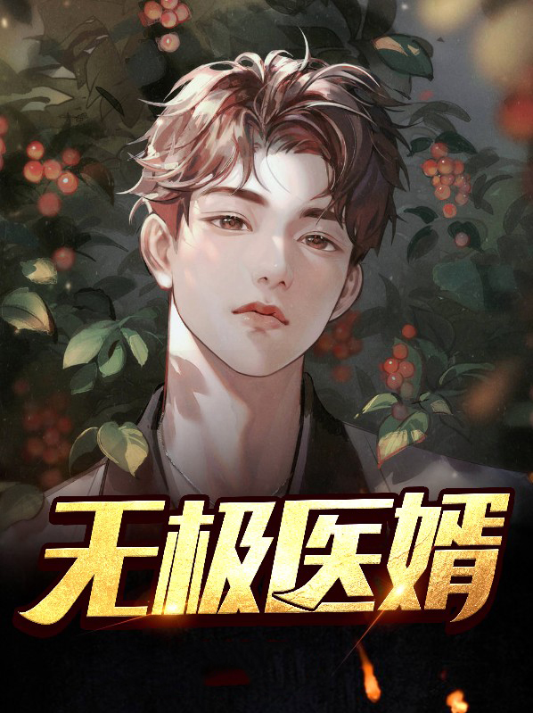 无极医婿小说