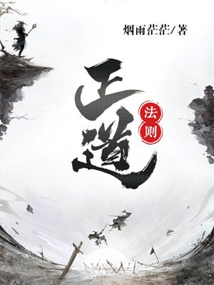 正道法则 小说
