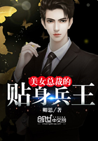 美女总裁的贴身兵王无痕免费阅读
