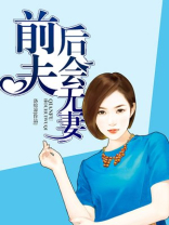 前夫,后会无妻 小说