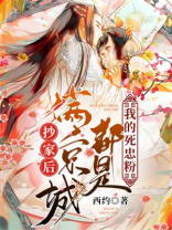 抄家后满京城都是我的死忠粉免费完结版