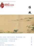 佐魏章略定汉中地的略