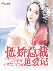 傲娇总裁追妻记 小说