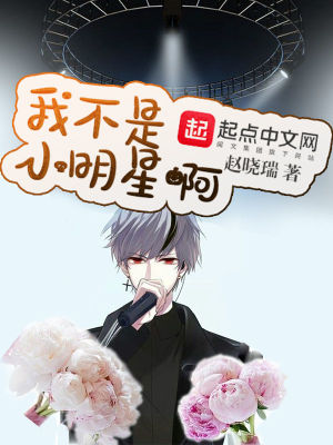 我不是明星的