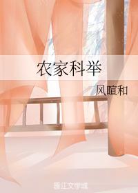 农家科举小说