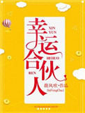 幸运合伙人电视剧
