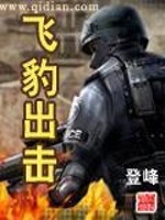 飞豹出击TXT下载