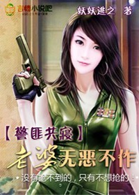 警匪共寝:老婆无恶不作的小说