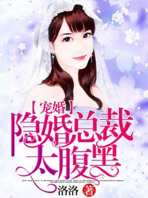 隐婚总裁太腹黑 小说