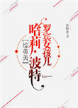 罗宾女孩儿波特 综英美 txt百度云
