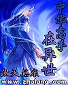 中华高手在异世百度百科