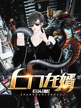 上门龙婿叶辰小说