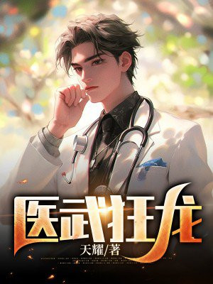 医武狂龙沈默