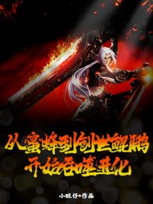 从鲲开始进化 小说