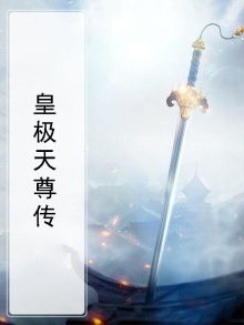 皇极天纪官方网站入口