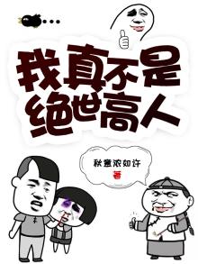 我真不是盖世高人