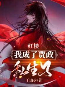 红楼:我成了贾政私生子