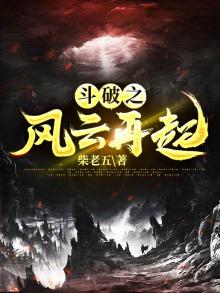 斗破之风云再起是什么小说