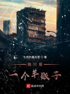 我只是一个羊贩子英文