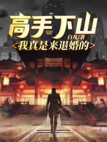 高手下山叶君临全文免费阅读