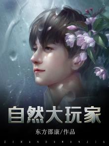 自然大玩家顶点小说