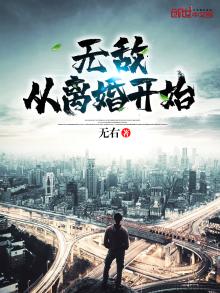 无敌从离婚开始花岗石
