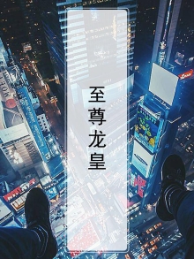 至尊龙皇诀