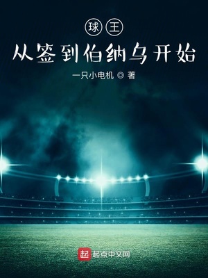 球王从签到伯纳乌开始 一只小电机